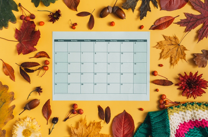 Le calendrier des allergies