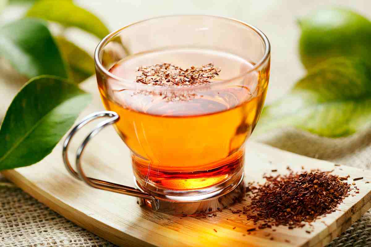 meilleure boissons pour maigrir la nuit : Rooibos