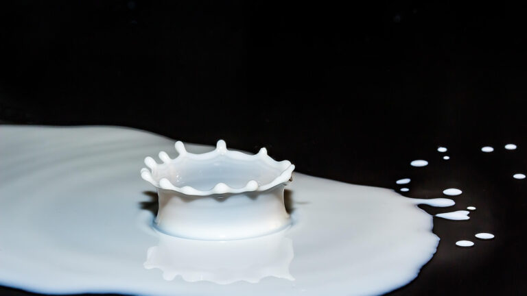 Protéine de lait : qu'est-ce que c'est et quels sont ses bienfaits ?