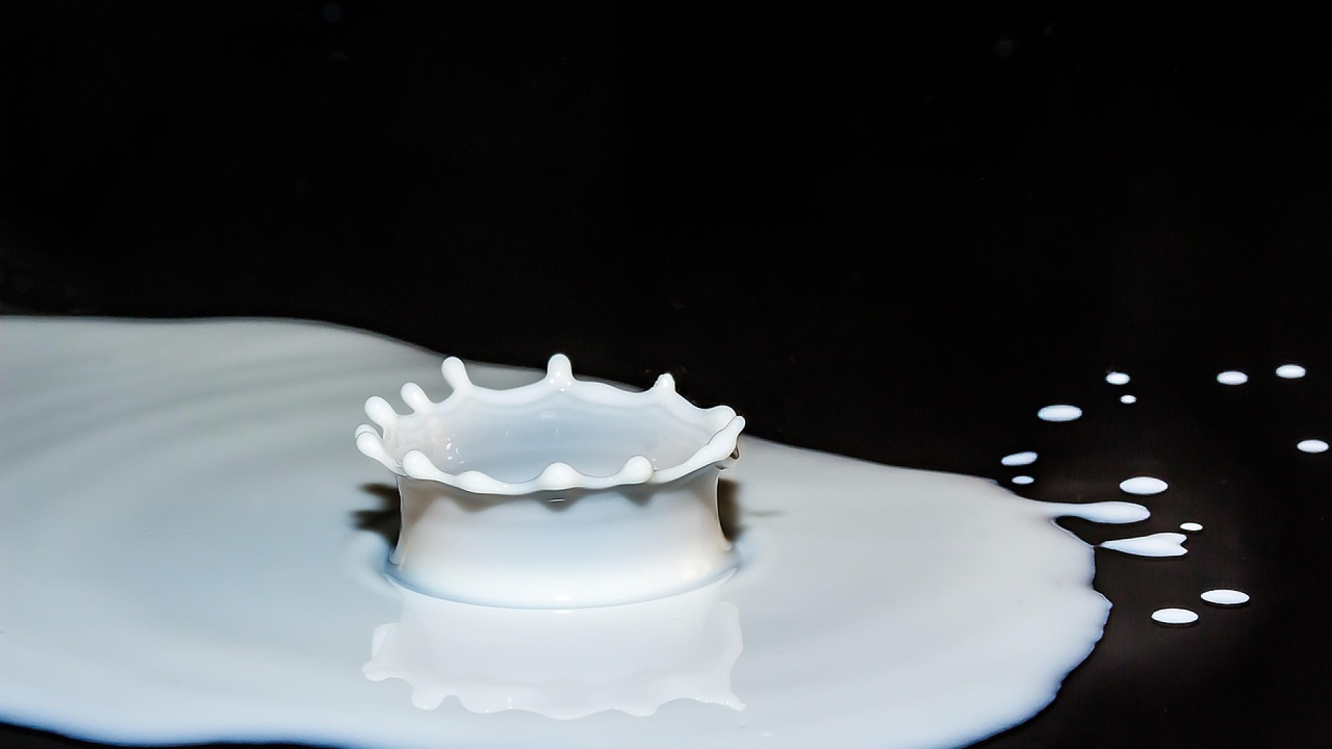 Protéine de lait : qu'est-ce que c'est et quels sont ses bienfaits ?